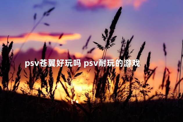 psv苍翼好玩吗 psv耐玩的游戏